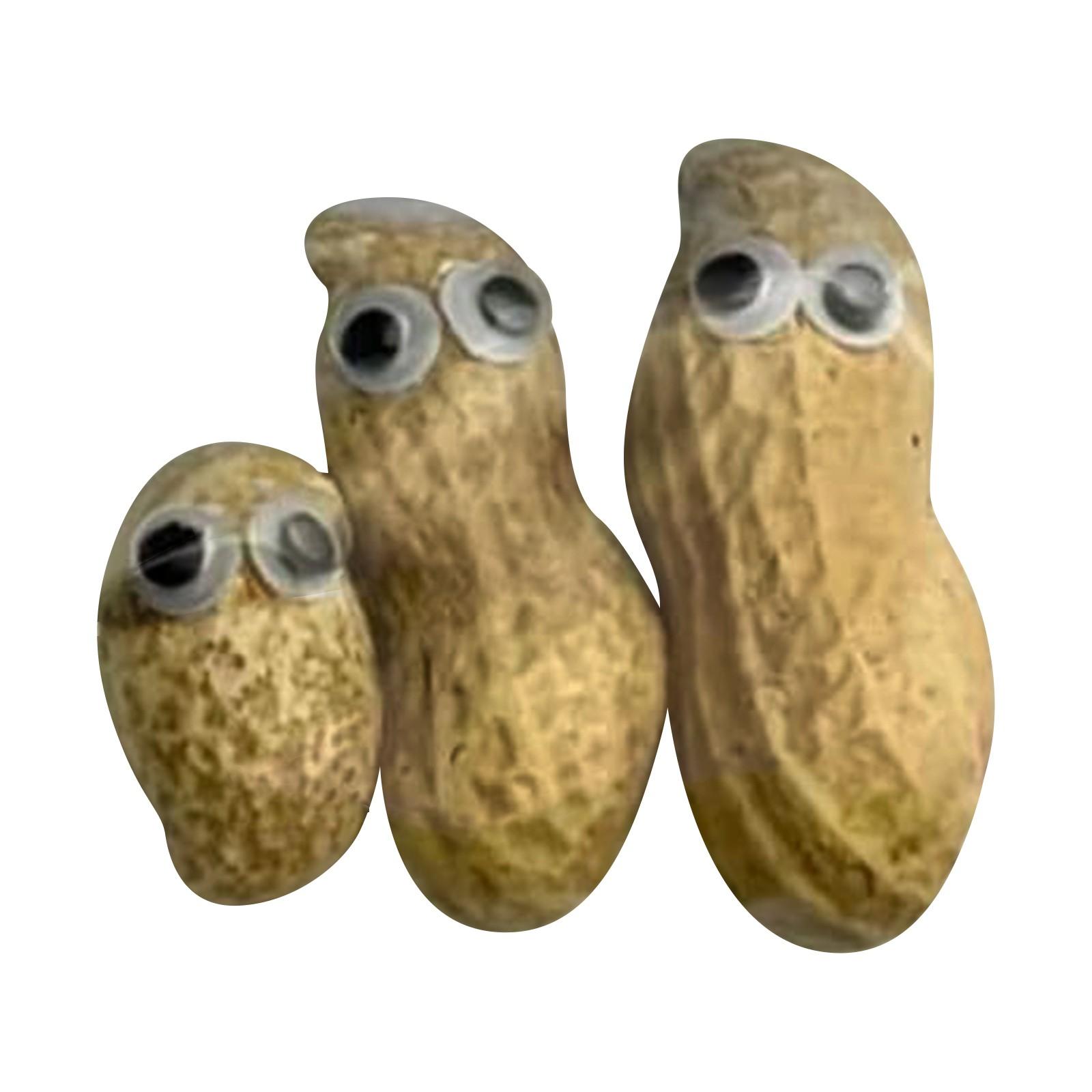 

Deez для друга, Deez забавное праздничное украшение, забавный набор орехов в очках, новинка Deez настольное украшение, Deez Pun Lovers украшения для вечеринки One Size