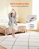 Indoor Plush Area Rugs, 2.44 X 3.05m Plush Carpet, Area Rugs Furry with Long Plushs Pile, Thick & Durable High-Pile Rug for High-Traffic Areas,