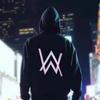 Alan Walker High-End Heavyweight Hoodie - Unisex Autumn/Winter Sweatshirt