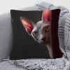 1pc of a Curious Cat Decorative Pillow Cover - Made of Soft And Smooth Polyester Short Plush Fabric, Single-Sided Print (Pillow Insert Not Included),