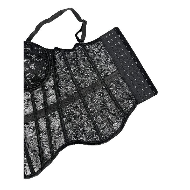 Corsets, roupas femininas elegantes e da moda