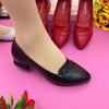 Soft Leather Low-heeled Single Shoes Women's 2025 New Versatile Comfortable Shallow Mouth Pointed Small Leather Shoes Fashion Trend Middle-aged Shoes