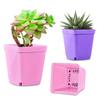 10PCS Square Mini Flowerpot Candy Colors Plastic Plant Pot Drainage Holes Tray Succulent Pot Indoor Outdoor Garden Nurseries ZYF