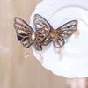 Korean Temperament  Butterfly Hairpin Sweet Side Bangs Duckbill Clip Hair Accessories