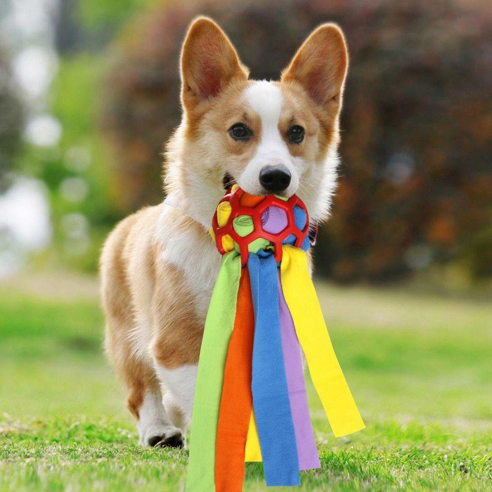 

Bite Resistant Rainbow Dog Sniffing Ball Rainbow Color Puppy Slow Feeder Training