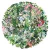 50Pcs/Set Retro Plant Leaves Series 02 PET Clear Stickers Waterproof DIY Fashion Decals Stickers