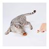 Petio Giocattolo per Gatti Loofa Pelle Dentale Giocattolo Corda Arancione