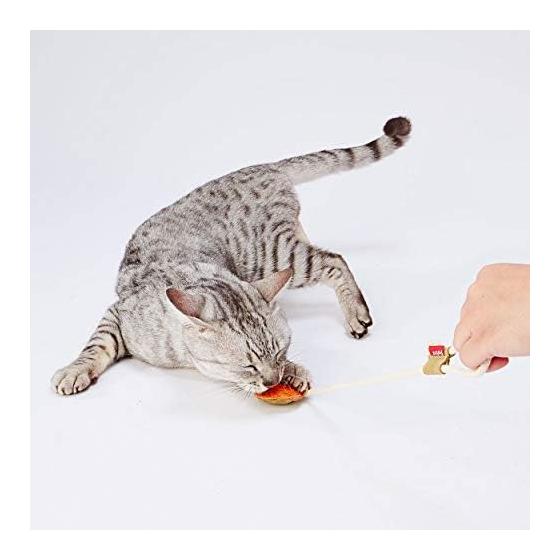 Игрушка для кошек Petio Loofa Leather Dental TOY String Orange