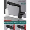 Premium Brass Pull-Out Basin Faucet Liftable  Rotatable Spout Mixer Tap With Dual Spray Options  Cold Water Control