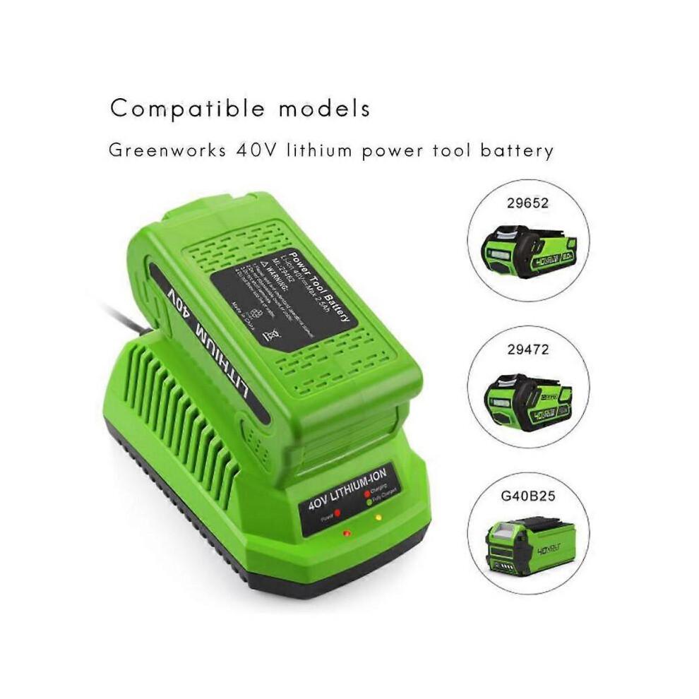 Caricabatterie al Litio 40V per GreenWorks 29482 G-MAX 40V - Batteria 29472 29482 29652 G40825 EU Pl