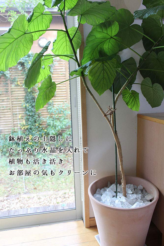 Natural Quartz 30 from Brazil [Outlet Item] [Wagokoro Nenjudo] Crystals, Pieces, Approx. 1400g,