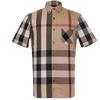 Shirts Men's Camel Pointed Collar Moderate Other 40458371
