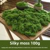 Biomimetic Artificial Moss Mats Indoor Outdoor Decor Realistic Fake Grass Turf Micro Landscape Bonsai Office Natural Aesthetic