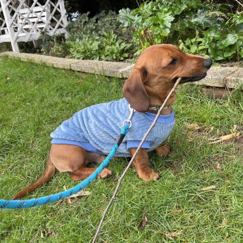 Warme Fleece-Hundeweste für den Winter, Hundekleidung für kleine Hunde, Katzenjacken, Chihuahua, Yorkie, Mantel, Schnauzer, Shih Tzu, Mops, Kostüme