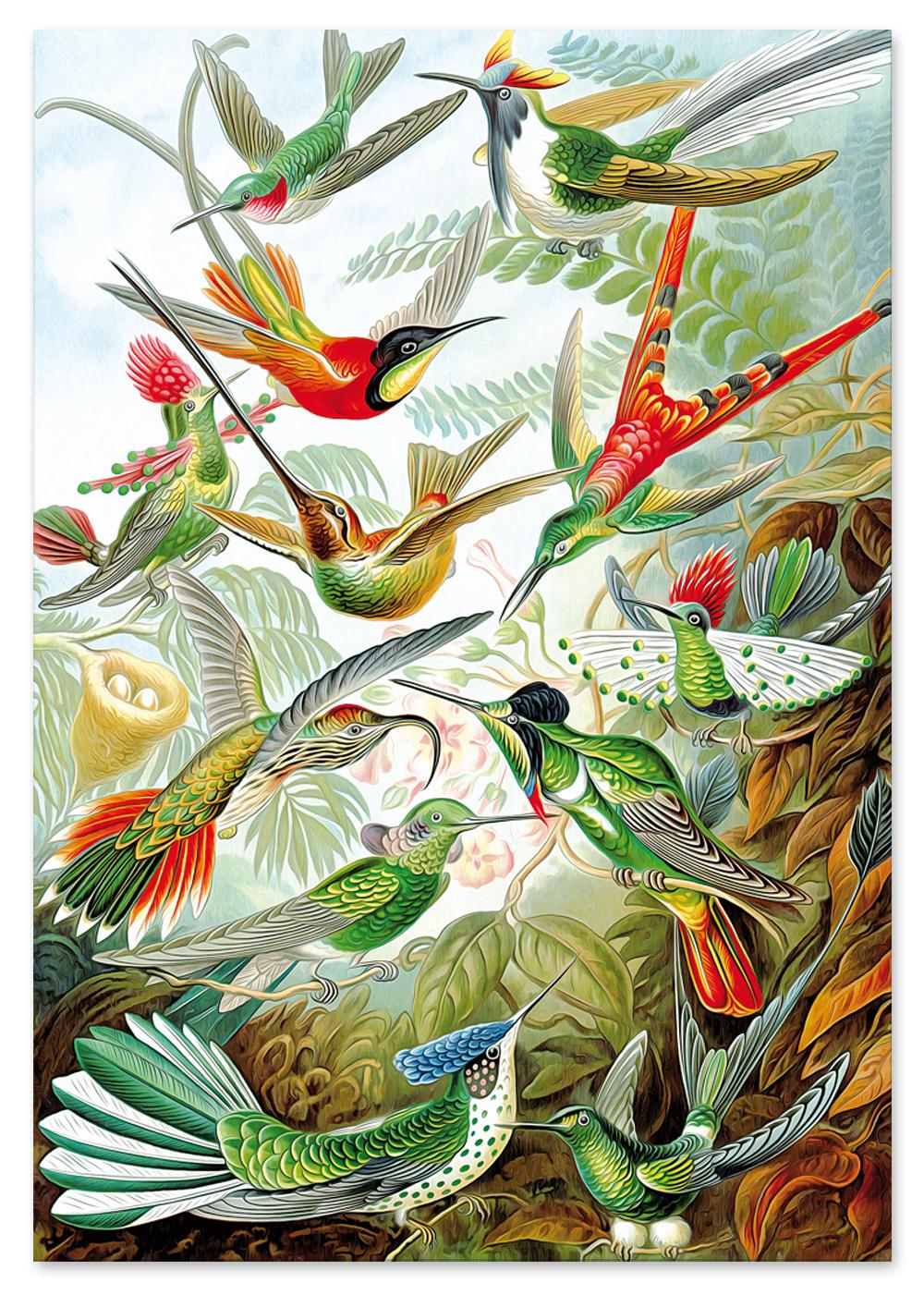 

Постер райські птахи композиція 30x40 cm