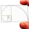 Golden Ratio Viewer,Portable Fibonaccis Composition Views Finder,Photography Scale Viewing Tool,Credit Card Size