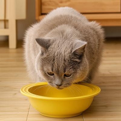 Seramik Kedi Besleme Kabı, Bıyık Dostu Yavru Kedi Mama & Su Kasesi, Mikrodalga Bulaşık Makinesi Güvenli Geniş Sığ Evcil Hayvan Tabağı Kuru Nemli Mama İçin