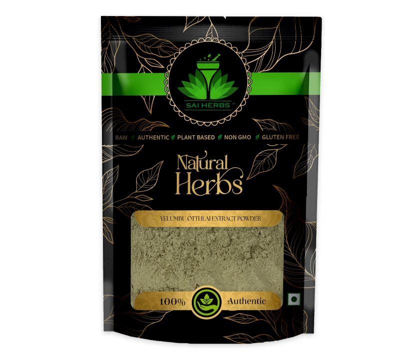 SAI HERBS Yelumbu Otti Ilai Extract Powder - Creeping Blepharis Leaves Extract Powder (100 g)