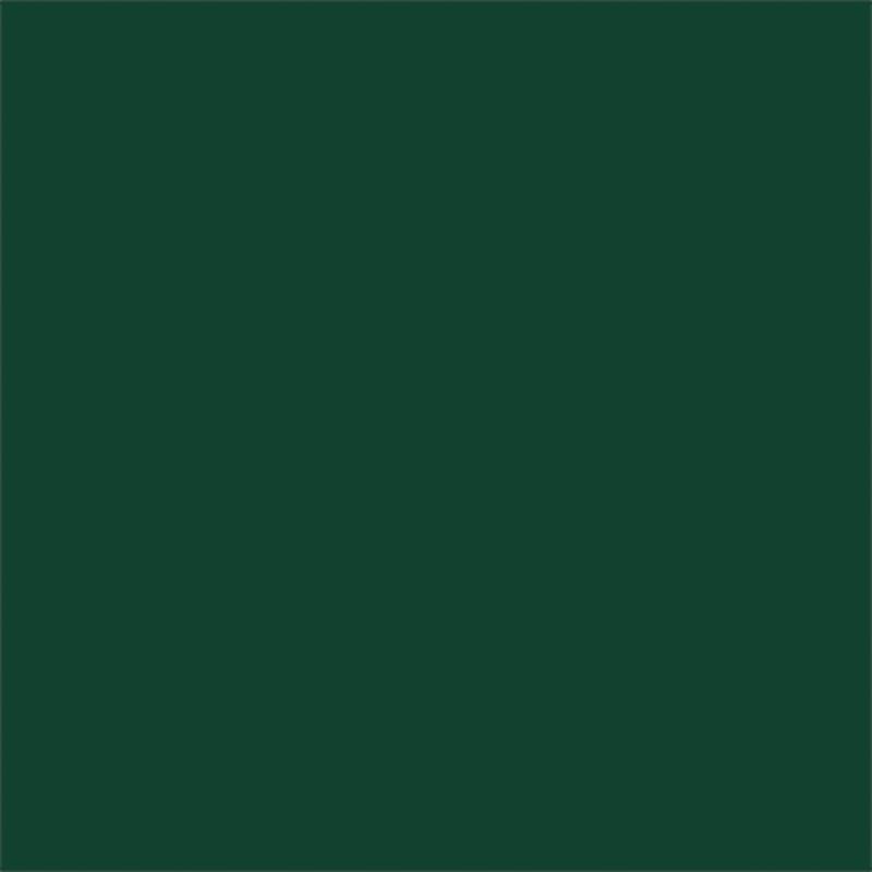 Farba Lakier Zieleń Mchu Ral 6005 Nopolux Wilckens Granit 10 L Wiadro