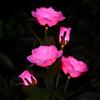 3 Heads Outdoor Solar Garden Light Realistic Solar Rose Flowers Lantern  Lawn Lighting