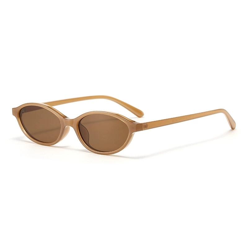 Classic Oval Small Sunglasses Women Trendy Cat-eye Sun Glasses for Ladies Fashion Daily Driving Travelling Shades UV400