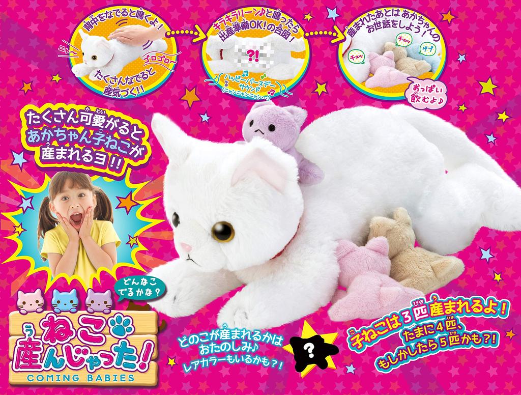 Dream Pet: I Gave Birth to a Cat