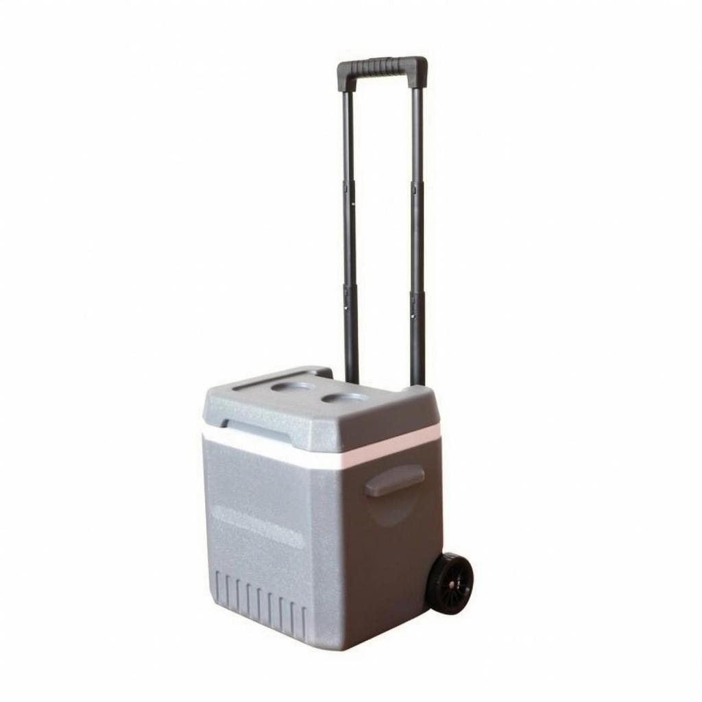 Portable Cold-Storage Container | Heavy-Duty, Recessed, ice chest with Hard
