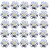 Hyuduo 1W 5V LED Chip Bulb, Light Beads 200lm Brightness High Bead Light Source Chip with Aluminum Plate for Floodlight, Pack of 25(Pure White