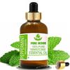 Pure Herbs Peppermint  (Mentha Piperita) Pure & Natural Therapeutic Grade Essential Oil Glass