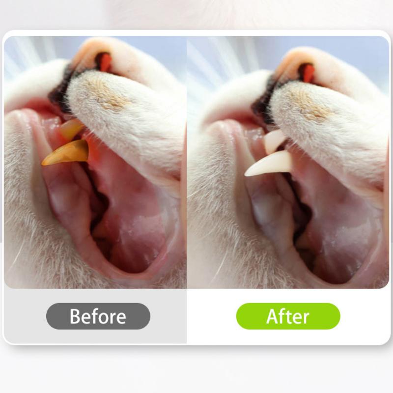 2 Pcs/set Natural Silvervine Cat Cleaning Teeth Stick Chew Stick Pet Sticks Cat Accessories Pet Cat Toy Hemp Rope