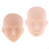 2x 1:6 Action Figure Doll Head Reference Makeup Practice General