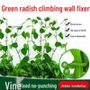 30-Pack Pothos Climbing Wall Clips: Traceless Hooks for Plant Poles (0.01 Free Shipping for New Users)