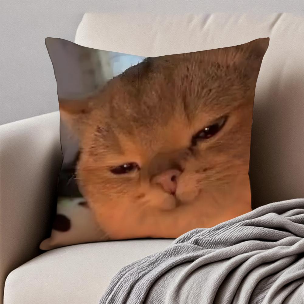 Meme Funny Pet Cat Funny Memes Cushion Cover Pillowcase Antidustmite Invisible Zipper Short Plush Sofa Cushion