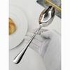 Stainless Steel Polished Pointed Spoon