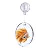 Acrylic Fish Training Mirror Decorative Fish Playing Mirror Fish Tank Floating Mirror  Playing