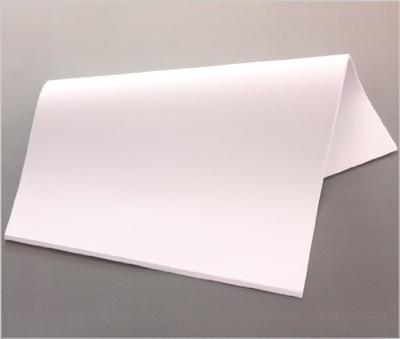 Kobaido Waterproof All-Weather Washi Paper, 530 X 394mm, 60g/m², 50 Sheets (Laminated Paper)