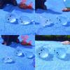 Glow In the Dark Animals Stress Relief Seal Miniature Aquarium Ornament Fairy Garden Decoration For Aquarium Decor