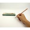 Mitsubishi Pencil Recycled Pencil 9800EW 2B 1 Dozen K9800EW2B
