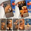 Cute Bear For OnePlus 13 12 11 12R 13R 9 10 Pro 8T 9RT 10T 10R Nord 4 CE 2 3 Lite N20 N30 Phone Case