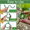 Wholesale Green Plant Support Clips Garden Vine Strapping Fixing Clip for Climbing Tomato Grape Vegetables Stalk Holders Buckle