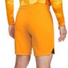 Nike Mens 2022 Netherlands FC Replica Shorts
