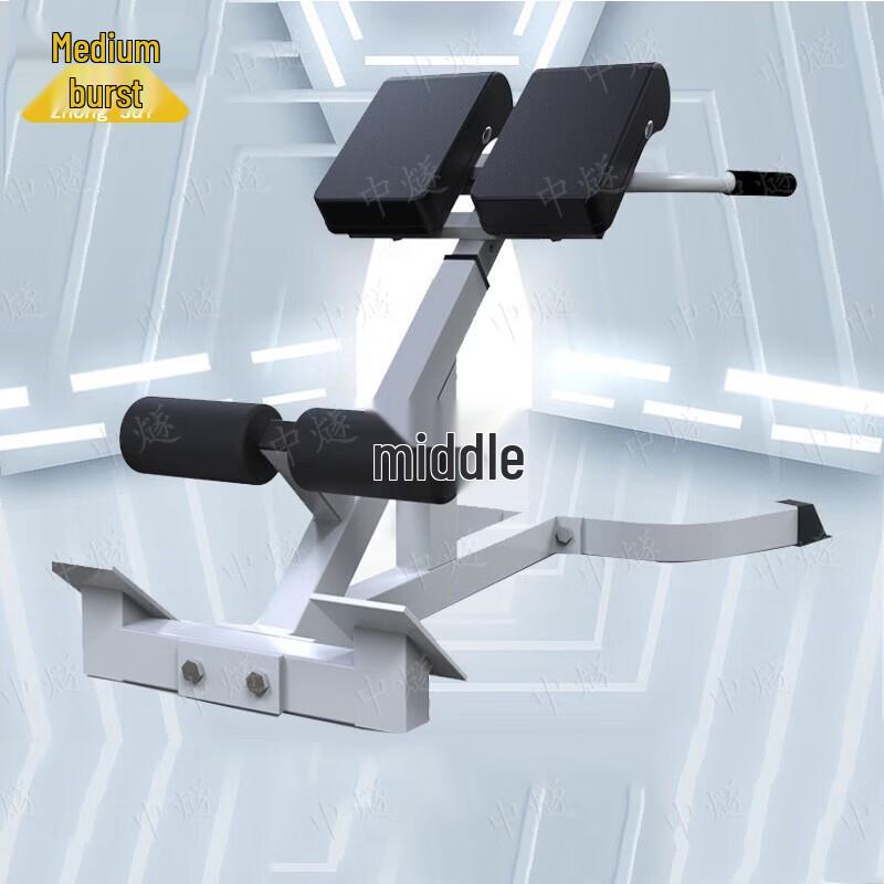 ZhongSui Roman Chair Hyperextension Bench