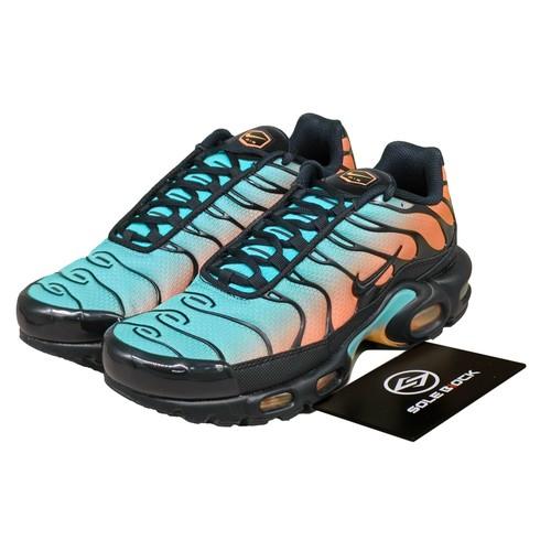 

Nike Кроссовки Air Max Plus для мужчин DM0032-022 EU 44 разноцветный