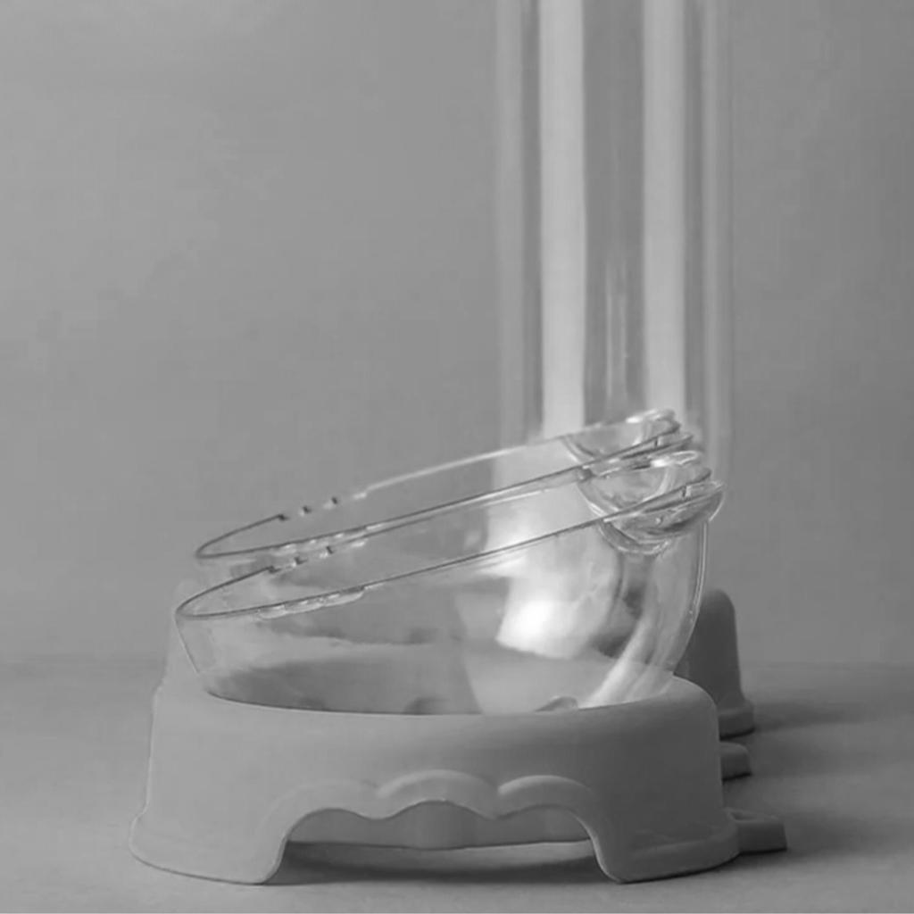 Triple Bowl for Cats and Dogs with a Water Dispenser and a Stand and a PetJet Water Fountain