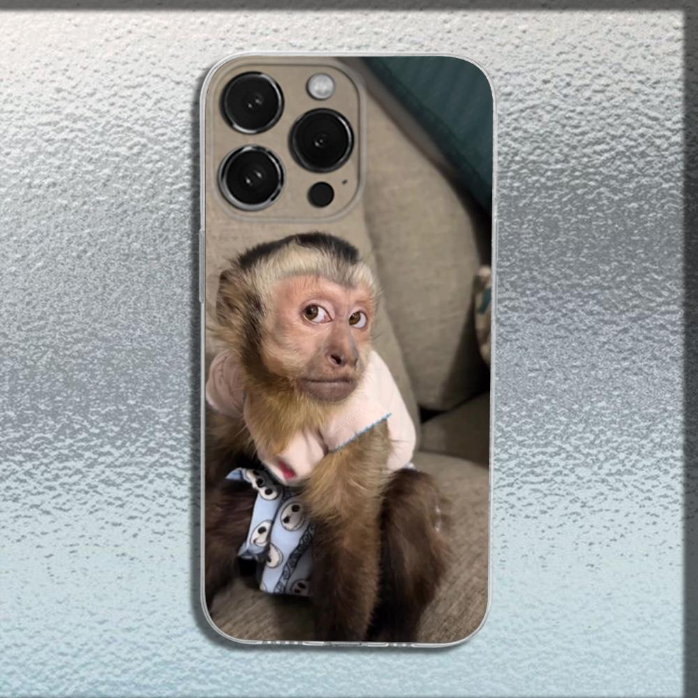 Cute Funny Monkey Phone Case For iPhone 16,15,14,13,12,11 Plus,Pro,Max,XR,XS,X,Plus,SE,Mini Transparent Soft Cover