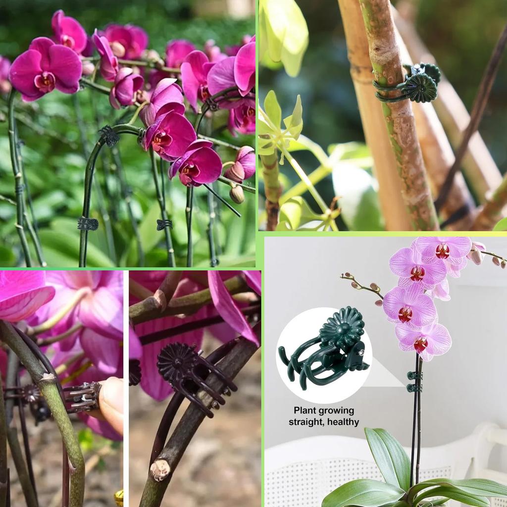 50/100Pcs Garden Plant Clips Butterfly Orchid Support Clamp Flower Stem Vine Tied Clip Fruit Vegetable Grafting Garden Tools