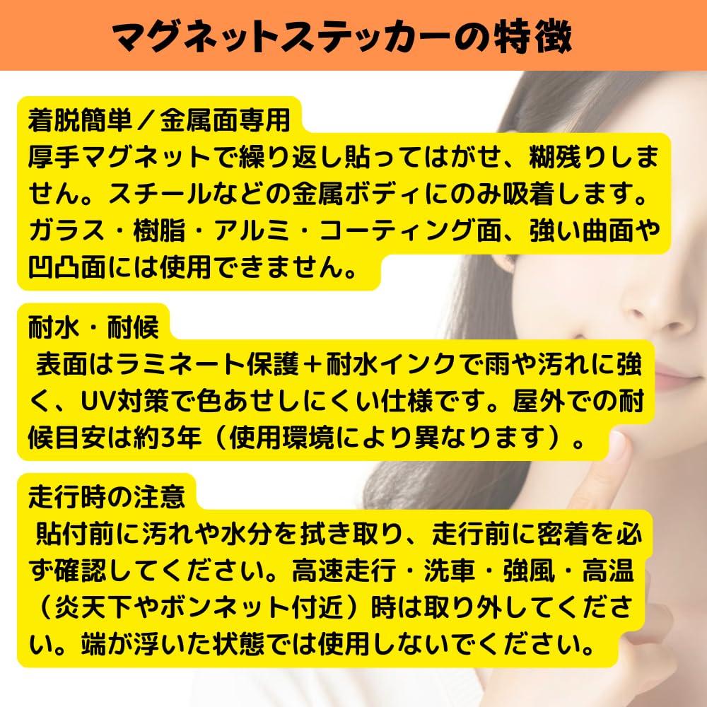 DOG IN CAR Magnetic Sticker 127mm (5 Inches) [Selectable Dog