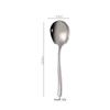 Ruhan Stainless Steel Moonlight Serving Spoon Set