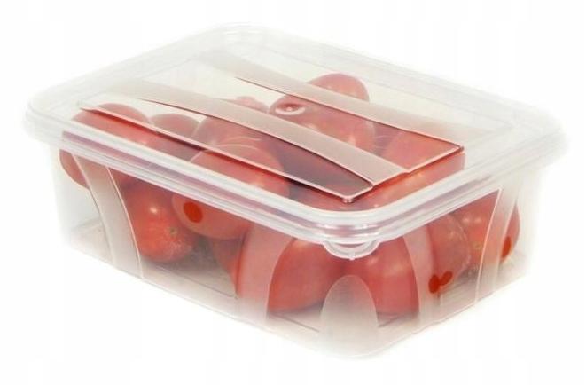 Master Food Container - Transparent Set