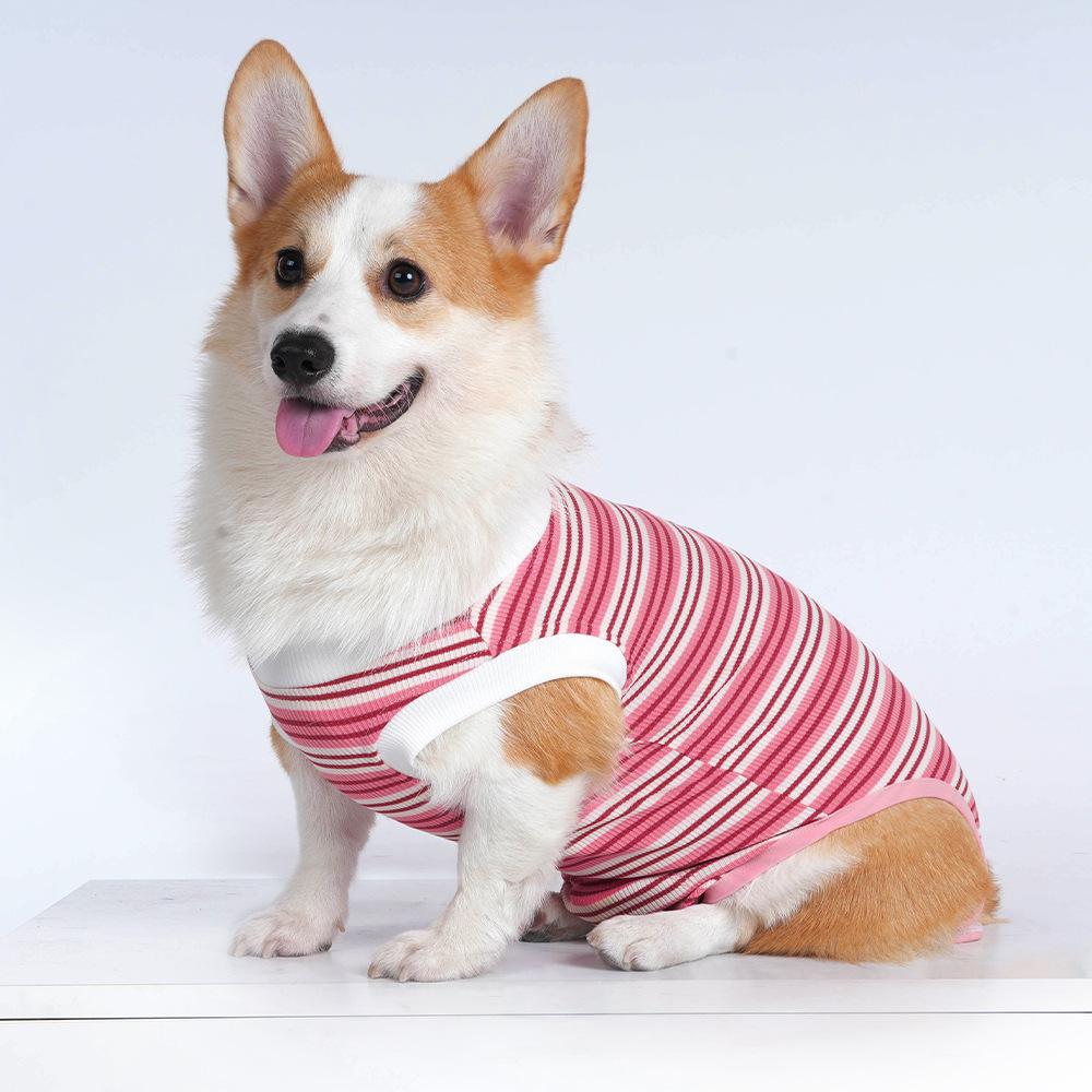 Bequeme und atmungsaktive Sterilisationskleidung für kleine und mittelgroße Hunde, postoperativ gegen Lecken, Entwöhnung, physiologische Hose für Haustiere